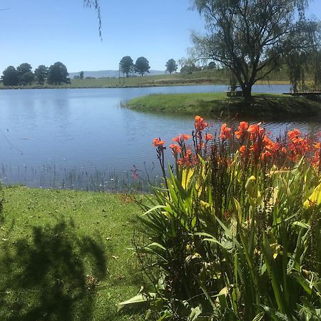 Willowbrooke Cottage Himeville Esterno foto
