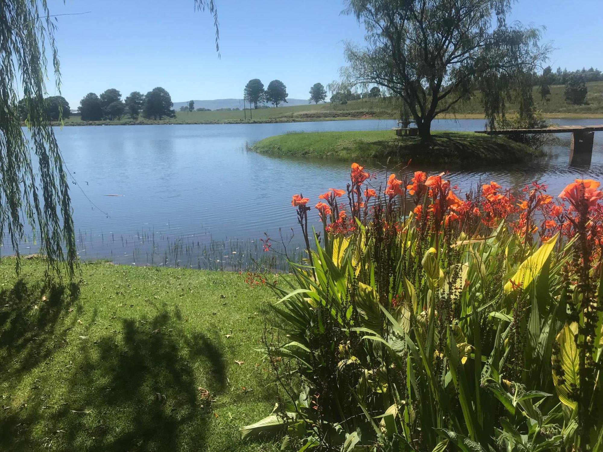 Willowbrooke Cottage Himeville Esterno foto