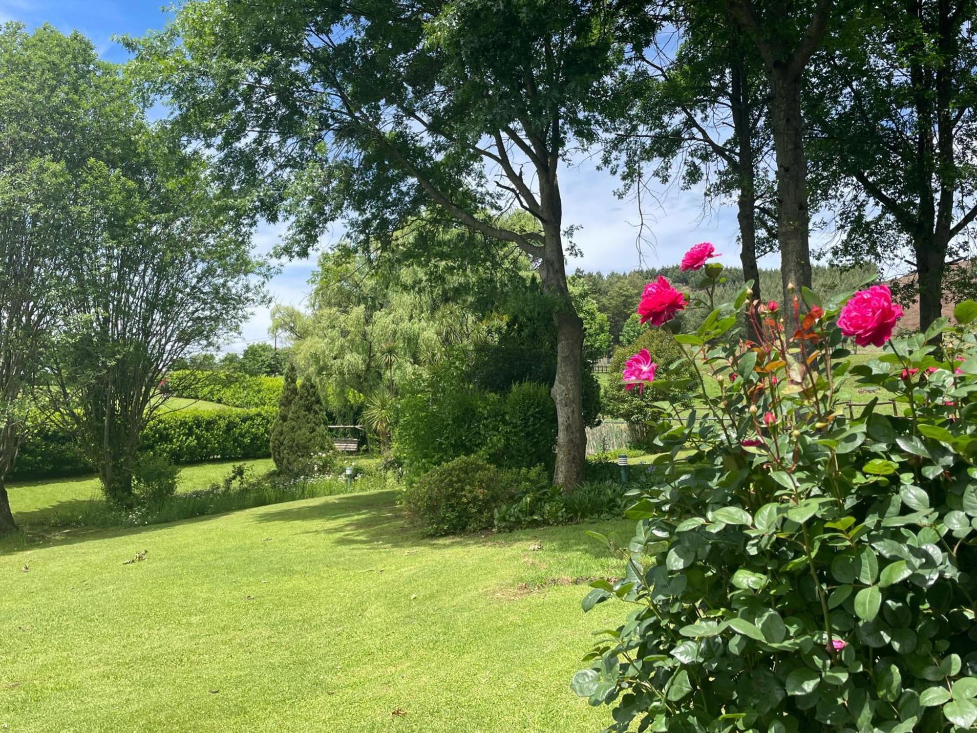 Willowbrooke Cottage Himeville Esterno foto